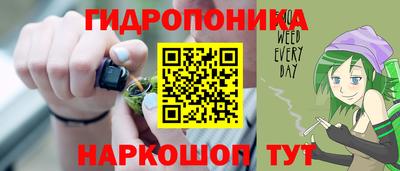 скорость Кингисепп