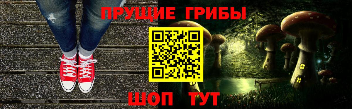 Псилоцибиновые грибы Cubensis Тельмана