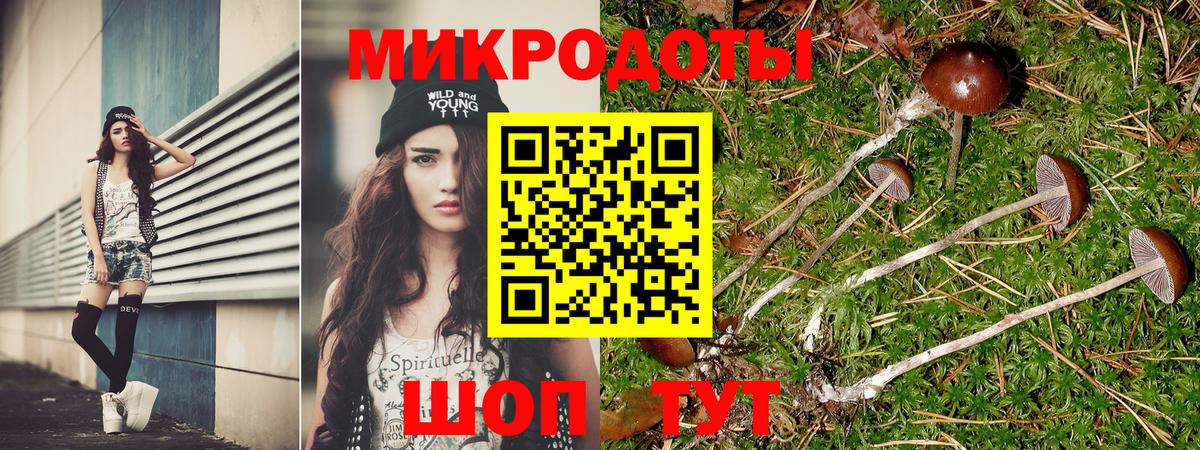 Тельмана  Галлюциногенные грибы Psilocybine cubensis  купить   Вход с VPN 