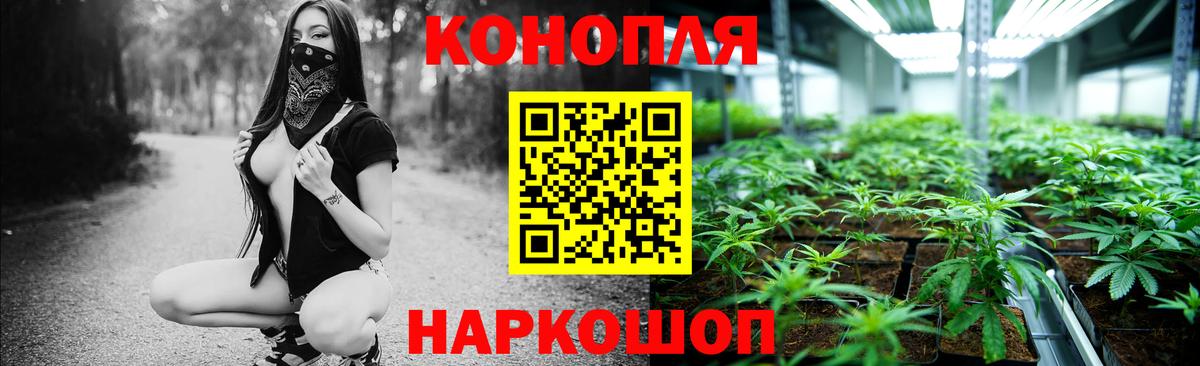 Тельмана  Марихуана сатива  МАРИХУАНА MAZAR  Марихуана Amnesia  Вход с VPN 